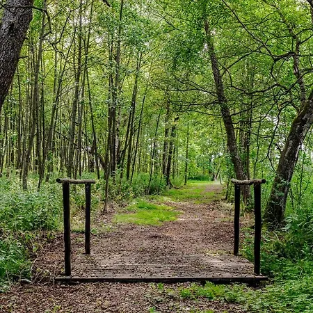 House On The Peninsula Prázdninový dům Przerwanki